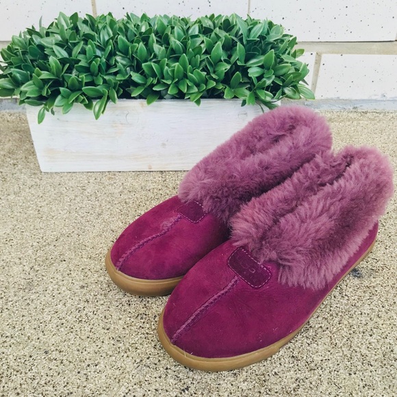 UGG Shoes - UGG woman’s purple Slippers Size 8